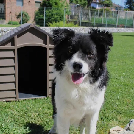 Prázdninový dům Casa Lorenzon Campolongo al Torre